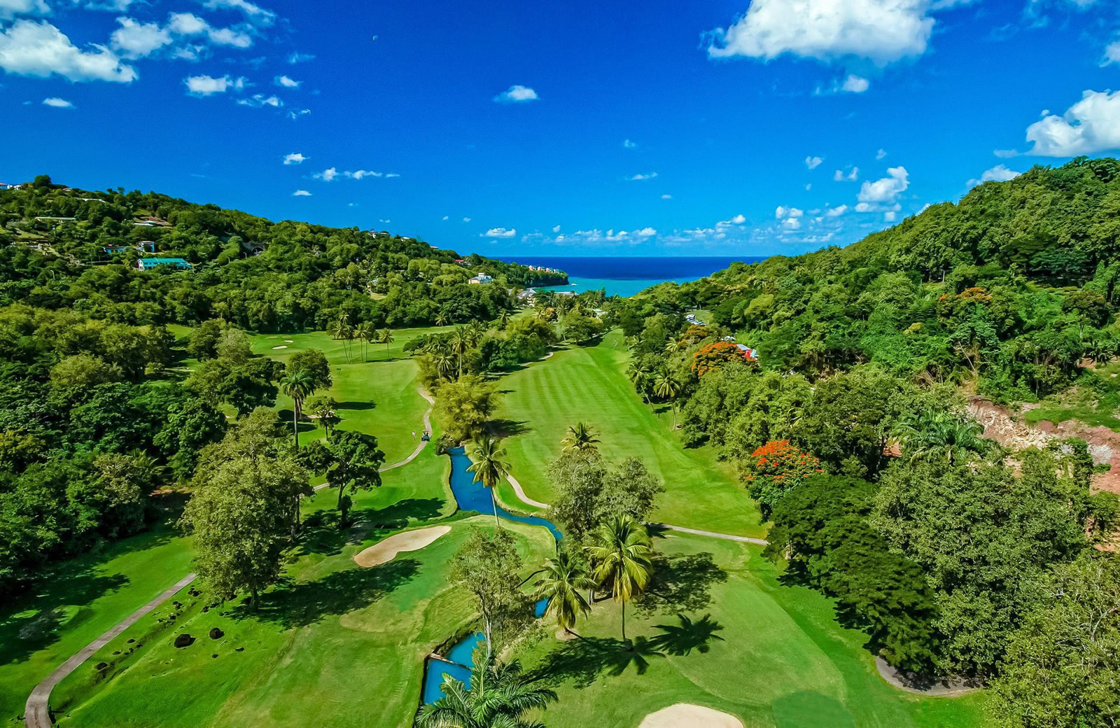 Discover The Caribbean with PerryGolf.